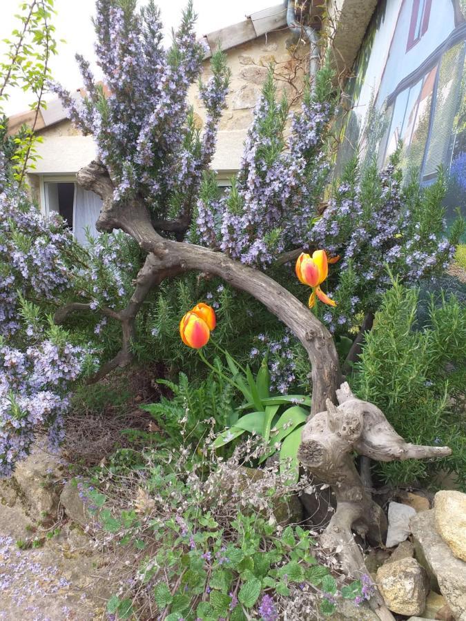 Gites De L'Alouette Boffres ภายนอก รูปภาพ